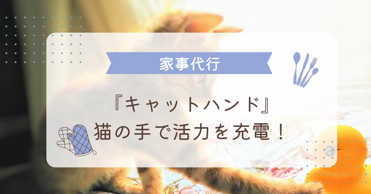 キャットハンドの家事代行サービス